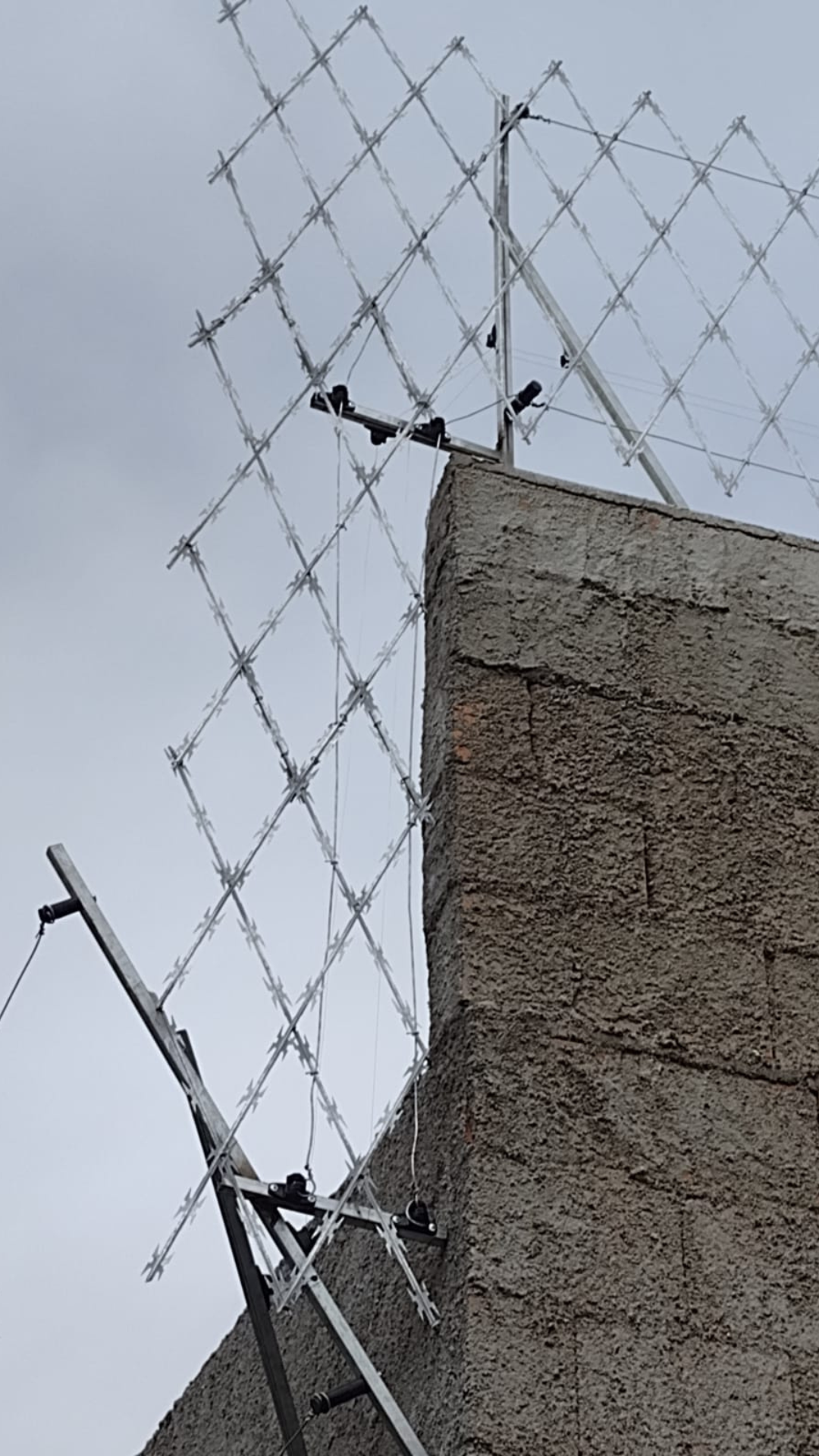 Design sem nome (12)