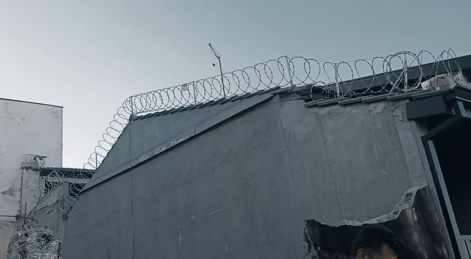 WhatsApp Image 2026-02-19 at 08.47.26 (2)